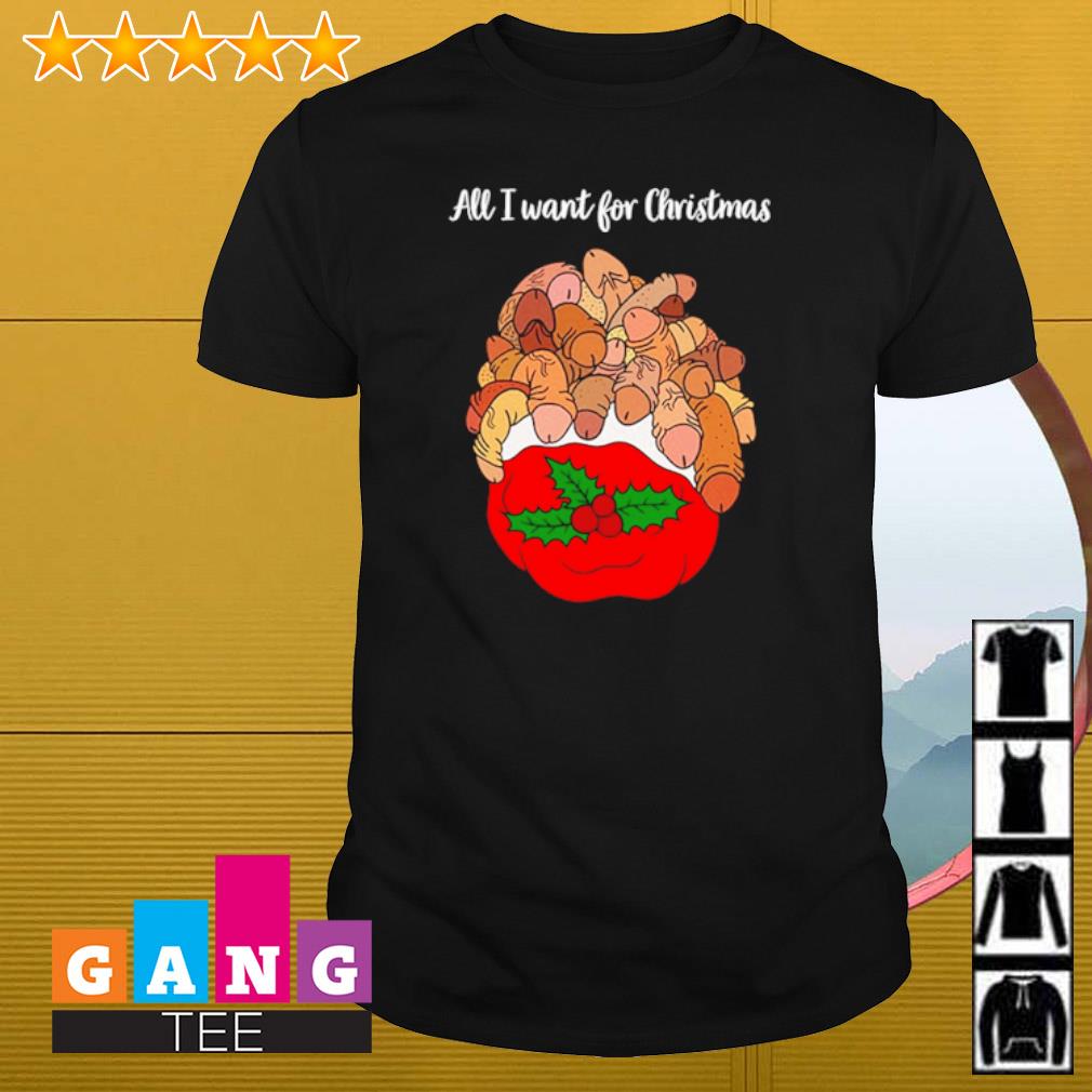 Official Santa Dirty all I want for Christmas shirt